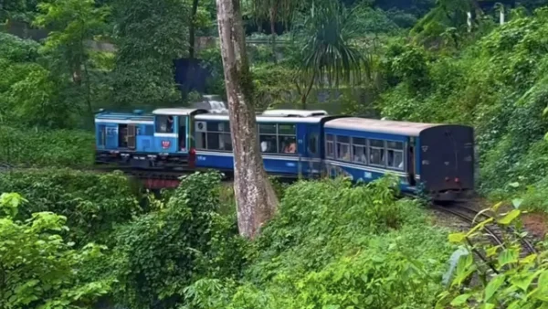 Inclusive Celebrations: Darjeeling Railway&rsquo;s Children&rsquo;s Day Delight