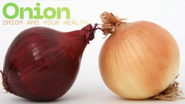 Onions and Your Health A Research backed Deep Dive into Benefits, Nutrition, Microbiome, and Tradition