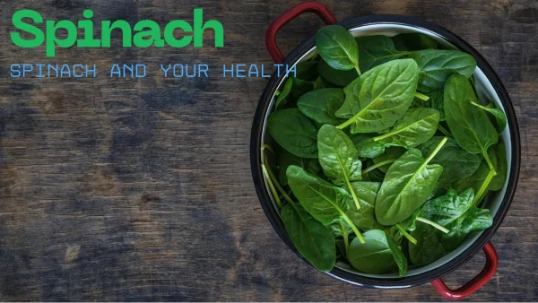 Spinach Nutrition and Health Benefits in Traditional and Modern Diets Science, Uses, and Cooking Tips