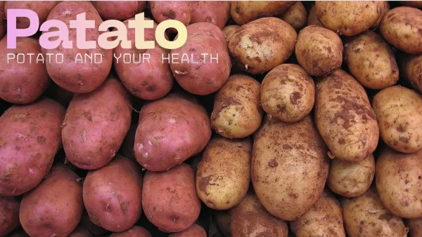 Beyond Mashed and Fried Evidence Backed Potato Benefits, From Gut Health to Heart Support and Prep Tips