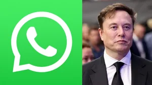 Musk Questions WhatsApp, Signal as Meta Faces Lawsuit