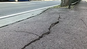 5.5 Magnitude Quake Rattles Kolkata; Tremors Felt Citywide