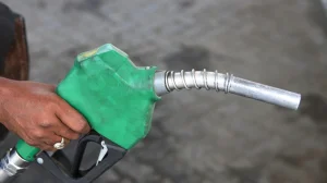 No Immediate Fuel Price Hike, Adequate Stock: Govt