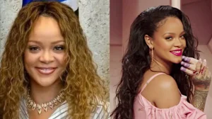 Shooting Near Rihanna's Home: Suspect Arrested