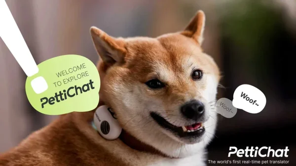 Chinese Startup Unveils AI Collar Translating Pet Sounds to Human Language
