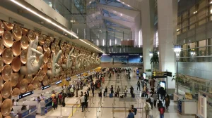 Dense fog cripples Delhi airport: 228 flights cancelled, 5 diverted