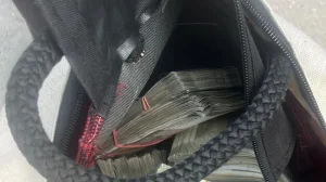 ED Raids IT Expert's Home, Cash Thrown from Building