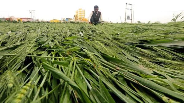 India Secures Fertiliser Supply for Kharif Season with 200 Lakh Tonne Stock