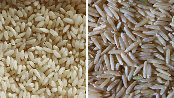 India’s Rice Exports Hit by Iran Conflict, Basmati Shipments to Gulf Disrupted