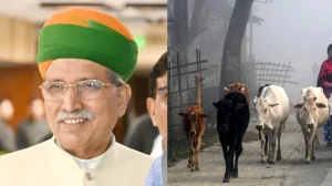 Meghwal: No National Cow Status or Slaughter Ban
