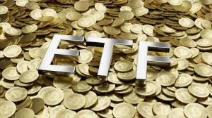 India's Hybrid Gold: A Narrow Fit for Investors
