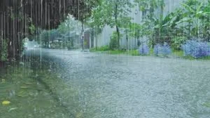 El Nino Threatens India's Monsoon and Crops
