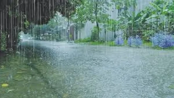 India’s Monsoon Outlook: El Nino Intensifies, Impacting Rainfall and Agriculture