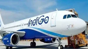 IndiGo Flight Delayed by Bird Strike
