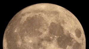 Jyeshtha Purnima 2026: Rituals and Significance