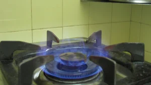 Ethanol Cooking Fuel Plan Raises Key Concerns