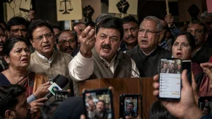 BJP MLA's Remark Triggers Political Debate
