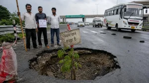 Crater on Expressway Becomes Symbolic 'Plantation'