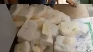 Paneer Seizures in Noida Highlight Food-Safety Concerns