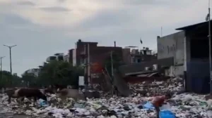 Swachh Bharat at 10: Achievements and Challenges